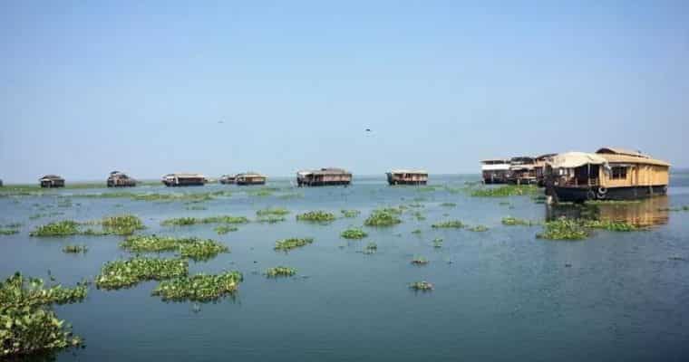 Tranquil Backwaters