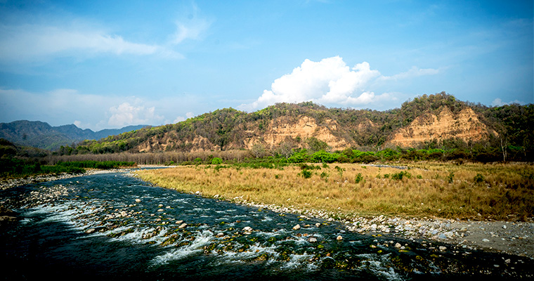 Resort in Jim Corbett