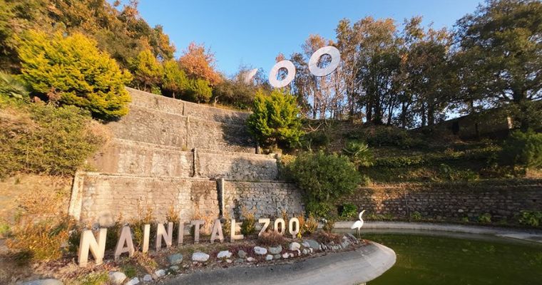 riveside retreat in jim corbett