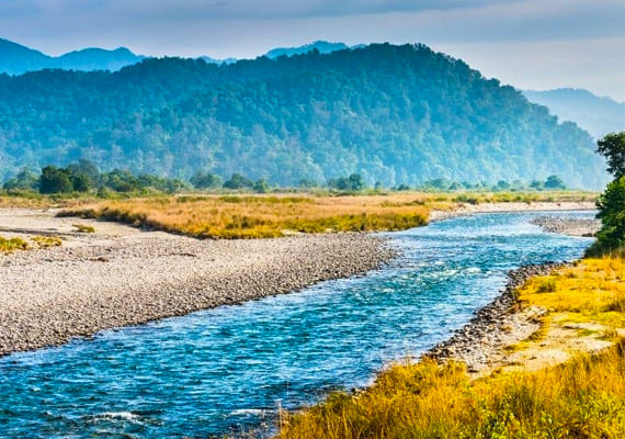 Resort in Corbett