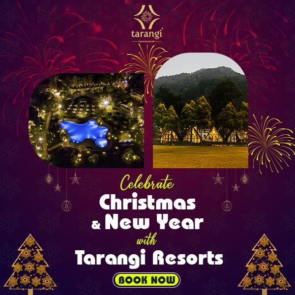 Christmas And New Year Offer