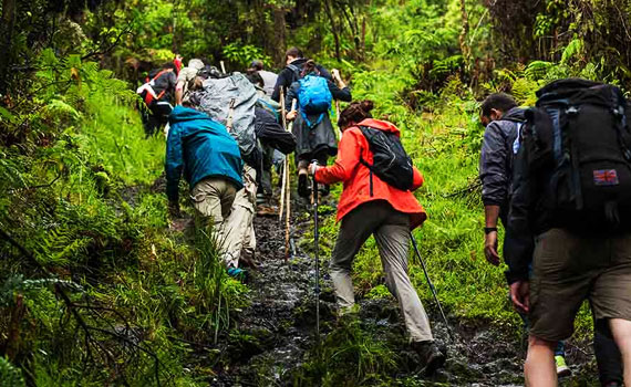 Trekking